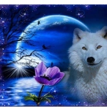 Diamond Painting Poppy Flower 30 × 40 cm