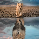 Puzzel 300 stukjes – Zelfreflectie