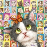 Puzzle SCHMIDT – Katzen-Ausdrücke, 1000 Teile