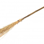 Heksenbezem voor kinderen