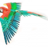 METAL EARTH 3D puzzle Parrot (ICONX)