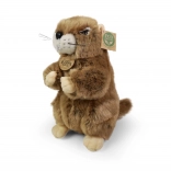 Pluchen marmot 23 cm eco‑friendly