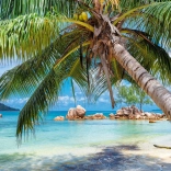 Puzzel Tropisch strand 1000 stukjes