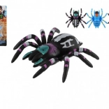Kruipende spin voor op glas, kunststof, 8 cm