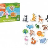 Ensemble Safari Magnety