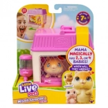 Little Live Pets Mini Mama hamster met verrassingsbaby’s in een huisje