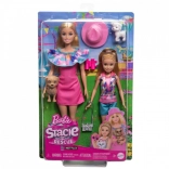 Barbie et Stacie – coffret poupées avec chiots et accessoires d’été