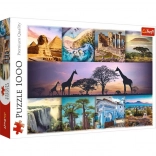 Trefl Puzzle 1000 pièces - Collage Afrique