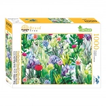 Puzzle Brain Tree Kakteen 1000 Teile