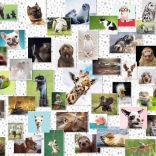 Puzzle Animaux joyeux 1500 pièces Ravensburger