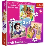 Puzzel 3-in-1 – prachtige bloemen – DISNEY PRINCESS Trefl