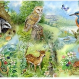 Puzzel Studie van de natuur 250 stukjes