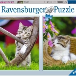 Puzzle Kätzchen auf dem Land von Ravensburger