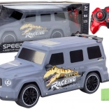 RC car with dinosaur motif 1:10, gray