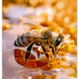 Wandbijenkalender 2026