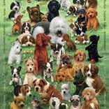 COBBLE HILL familiepuzzel puppy‑liefde – 350 stukjes