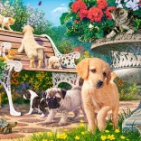 Puzzel 100 stukjes Hide and Seek