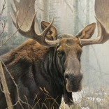 Puzzle COBBLE HILL Elch 500 Teile