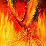 Puzzle Phönix 1000 Teile