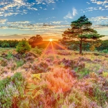 Puzzel Zonsondergang op de hei 1000 stukjes