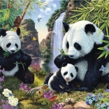 Puzzel Verborgen panda’s 1000 stukjes – Secret Collection