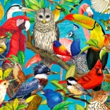 Puzzel Veren Gekte 1000 Stukken