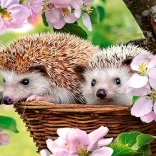 Puzzel Lente 120 stukjes