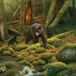 Puzzel Moeder Natuur 1000 stukjes van Cobble Hill