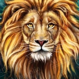 Puzzle Löwe 1000 Teile MAGNOLIA