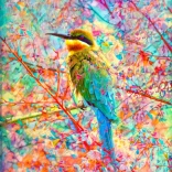 Puzzel Gelukkig vogeltje 1000 stukjes