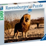 Ravensburger puzzel Leeuw – koning der dieren 1500 stukjes