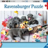 Ravensburger puzzle Chiots adorables 2×12 pièces