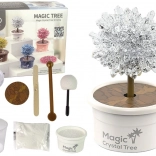 Arbre magique pour cultiver des cristaux – Expériences argentées