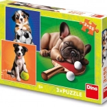 Puzzle Chiens sportifs 3×55 pièces