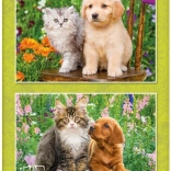 Puzzle Chiot et Chaton au jardin 2×48 pièces