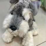 Plush Dog Andy