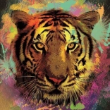 Puzzel Tijger 150 stukjes