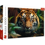 Puzzle 1000 pièces – tigre sauvage