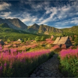 Puzzel Gaseinicova dolina 1000 stukjes