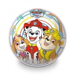 Colorful Ball with Paw Patrol Theme for Children