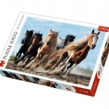 Puzzle 1000 pcs Galloping Horses