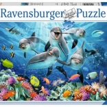 Puzzel 500 stukjes – dolfijnen RAVENSBURGER