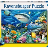 Puzzle Récif de Requins de Ravensburger