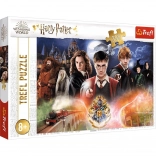 Puzzle HARRY POTTER – 300 pièces