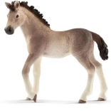 petit animal poulain andalou