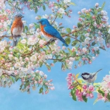 Puzzel Bloemenfestival XL 275 stukjes van Cobble Hill