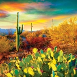 Puzzle Eurographics Wüstenträume 1000 Teile