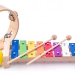 muziekinstrumenten voor kinderen 3+