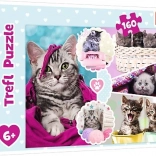 Puzzle Trefl chatons adorables 160 pièces