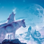 Puzzle RAVENSBURGER Lied van de dageraad 1500 stukjes